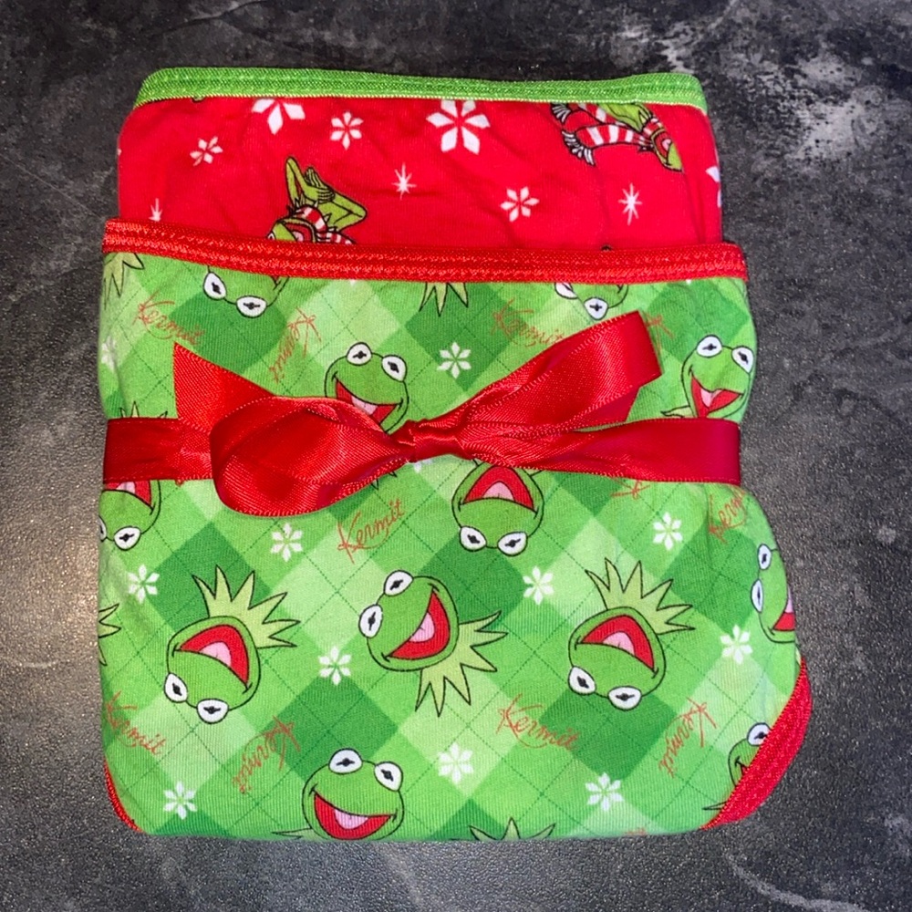 The Muppets: Kermit The Frog 🐸 2 Pack Bikini Underwear Set